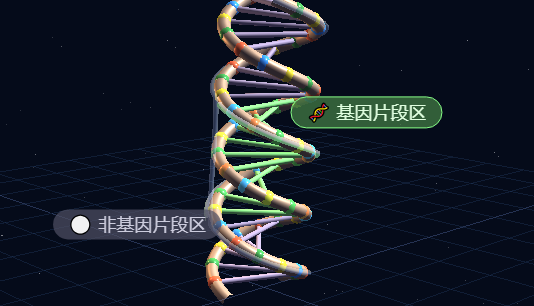 基因、DNA和染色体之间的关系